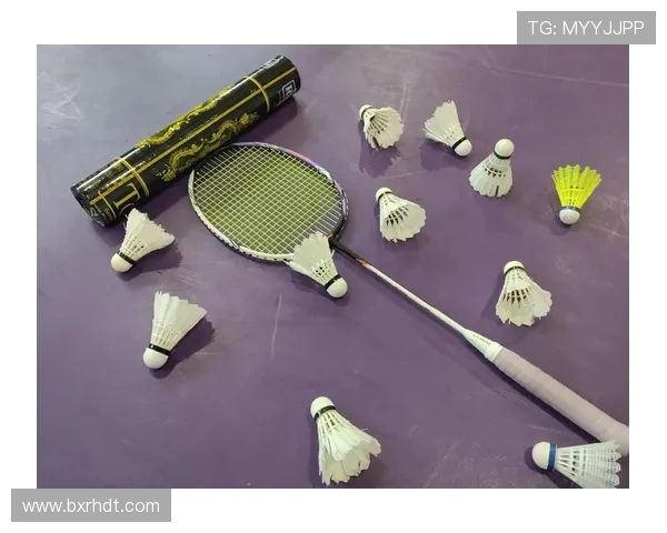 权威发布羽毛球技术实力榜单揭示顶尖选手风采与竞技水平